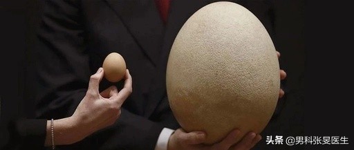 蛋蛋一大一小是咋回事？是病吗？会不会影响使用？