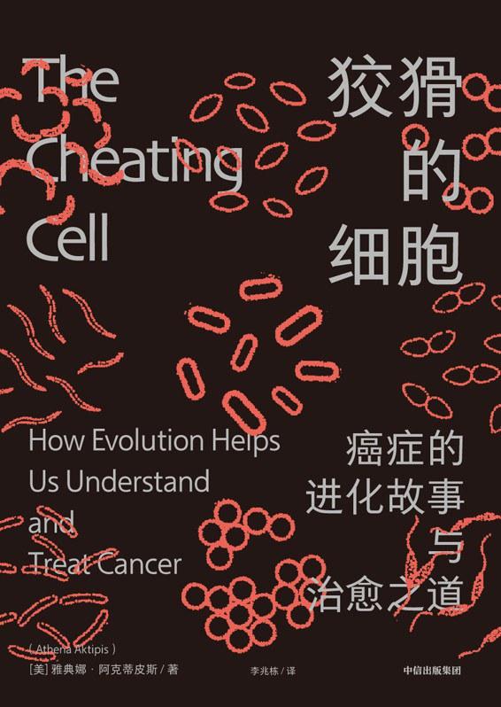 生物进化及自然选择,生物进化的历程简单进化树