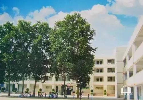 郑州各区重点小学热门小学排行榜,郑州教育资源在全国排名