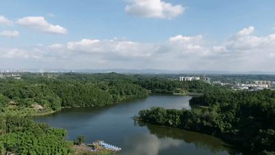 珍稀鸟类现身成都,在双流春游看花