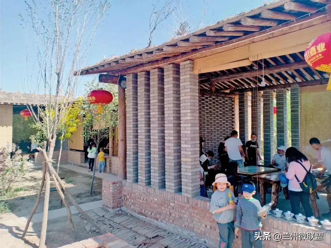 杏林湖黑天鹅,五一假期观光兰州