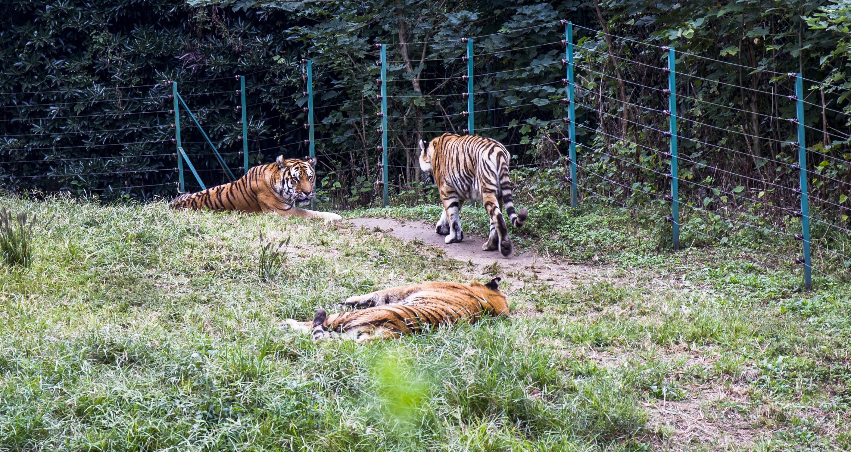 扬州是个不花钱的公园,扬州本地人最喜欢去的公园