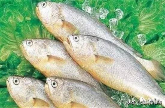 十种最美味海鲜,100种常见海鲜大全图