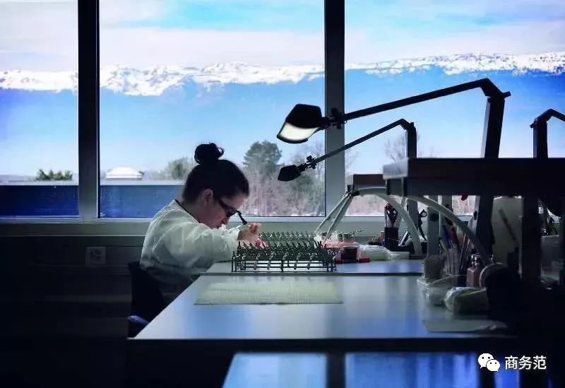 大家都在排队买奢侈品,为什么大家都在买豪车