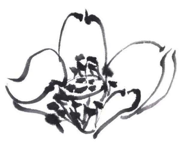 白描荷花100幅画法,荷花的画法白描图