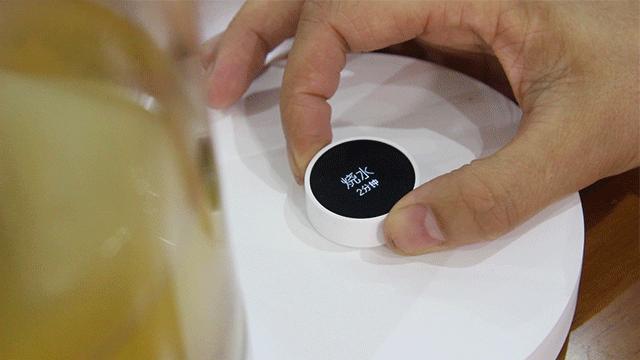 电陶炉煮茶器煮火锅,养生电炖杯煮火锅