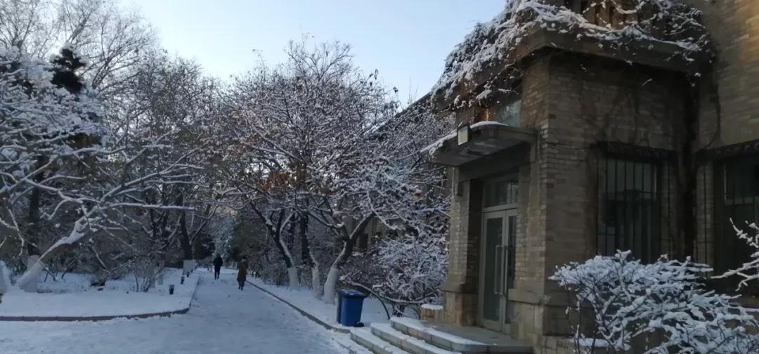 辽宁大学和鲁迅美术学院,辽宁省鲁迅美术学院是985吗