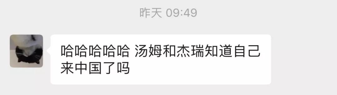 猫和老鼠四川方言版风车车哪里看,猫和老鼠四川风车车