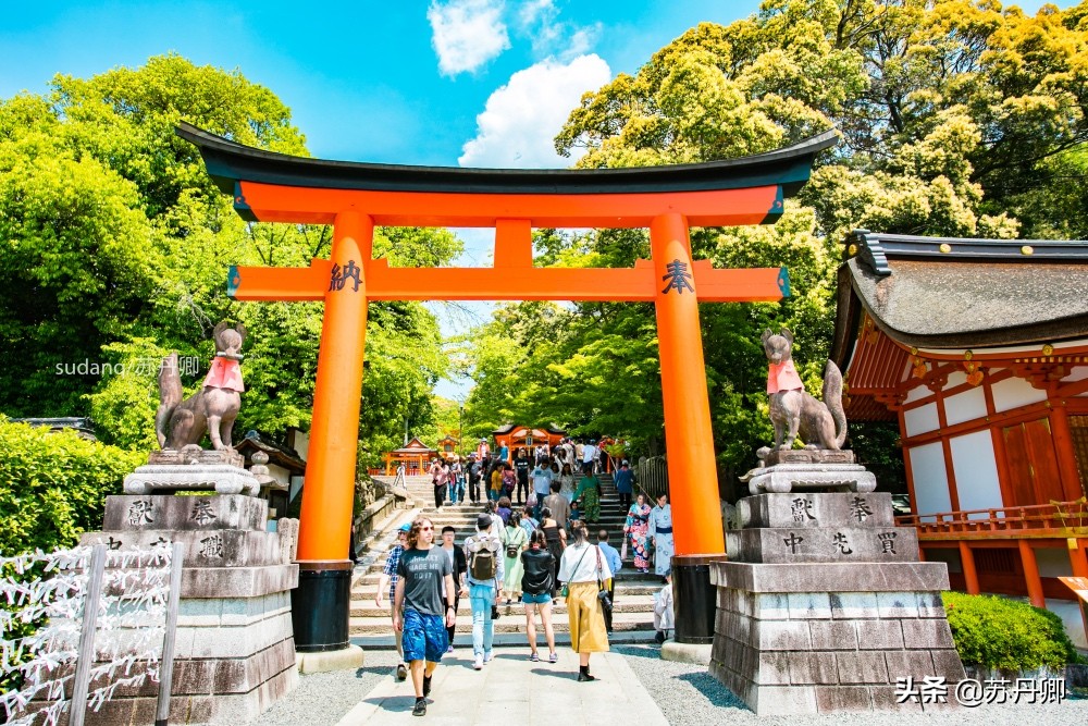京都伏见稻荷神社可以爬一半吗,京都之旅