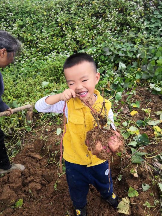 小耳畸形再造手术有后遗症吗,儿童小耳畸形去哪里做手术好