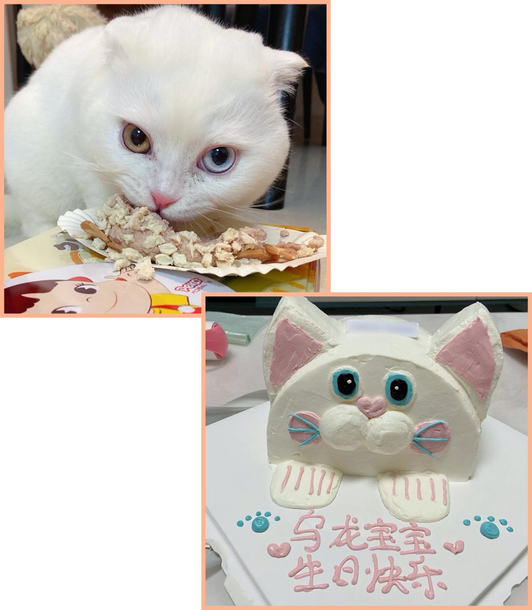 生日蛋糕款式分享,适合大家的生日蛋糕