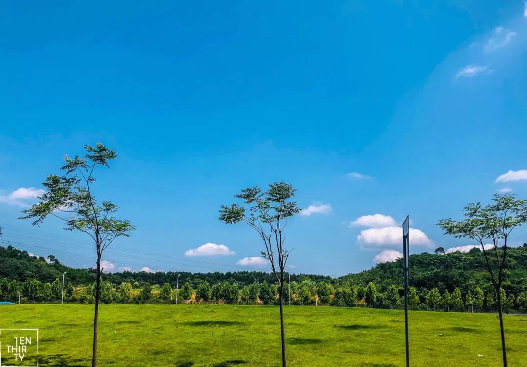 全武汉最漂亮的医院,武汉最良心的医院