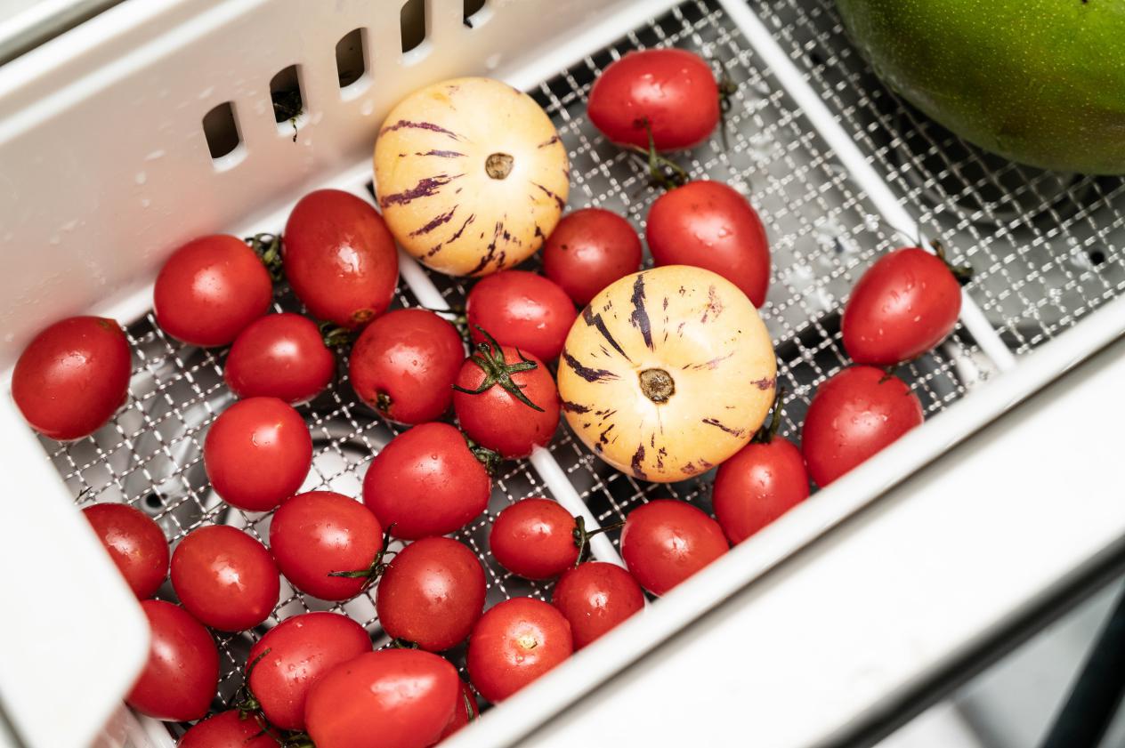 科技改变生活之洗衣机,科技改变生活家用清洁机器人