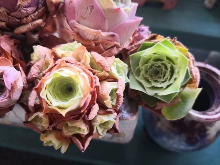 黄玫瑰这么美的风景惊艳到你了吗,优雅漂亮的黄玫瑰图片