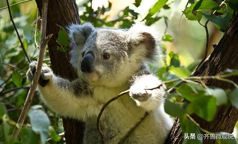 留学费用低但含金量高的国家,欧洲哪个国家留学费用较低