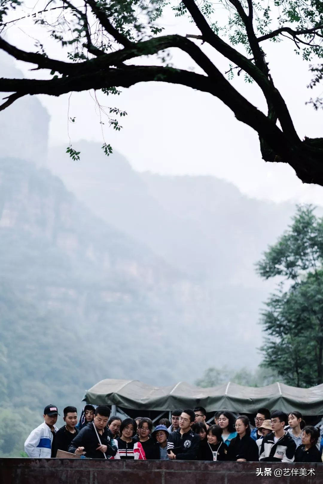 南山艺考画室怎么样收费,西安南山艺考画室官方账号