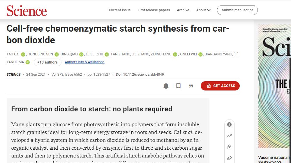 人工合成淀粉能拿诺贝尔奖吗,中国科学家突破人工合成淀粉技术