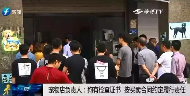 宠物狗买回来过几天病死怎么维权,厦门宠物店
