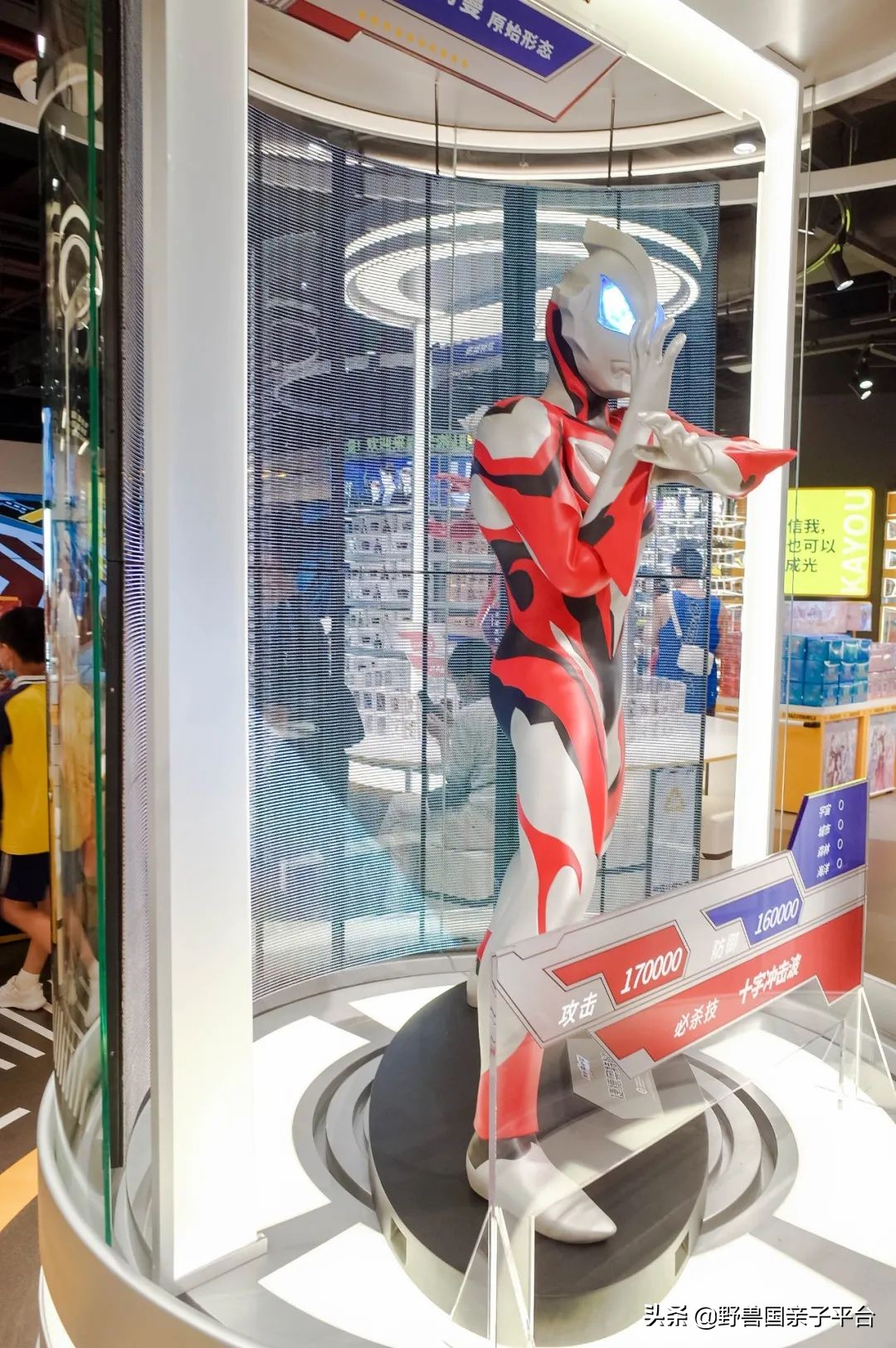 广州奥特曼卡牌旗舰店,深圳奥特曼卡牌店