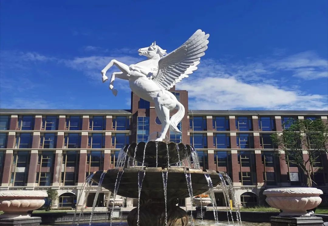 蒙彼利埃和霍森斯,霍森斯小学和蒙彼利埃