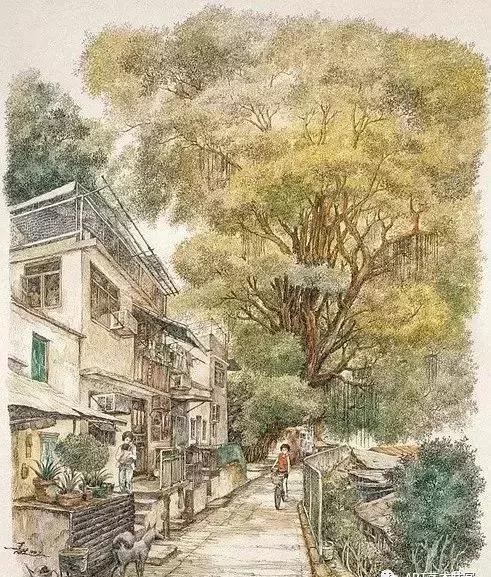 钢笔用得好，真的可以为所欲为！