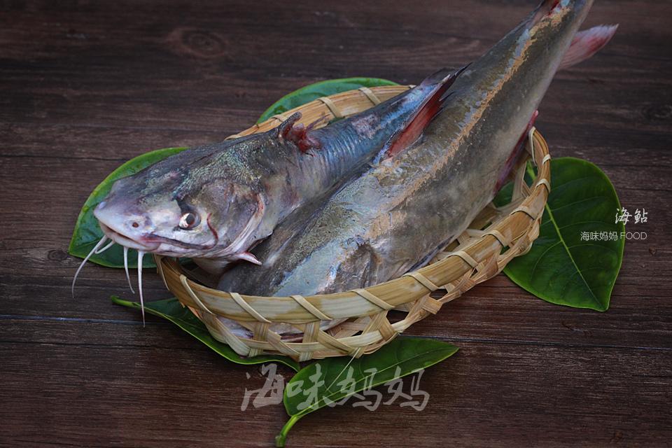 身上有好多刺的海鱼有毒的,背上有毒刺的鱼