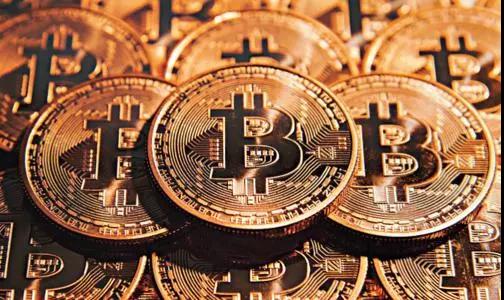 怎么快速获得600纤维币,怎么获得特别金币