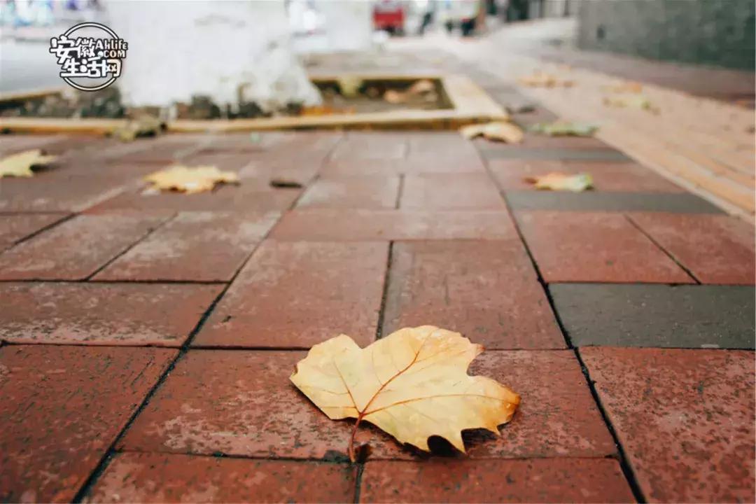 2022合肥必去的13个免费景点,合肥一日游景点推荐排名最新