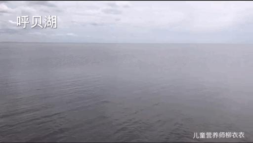 暑假带孩子内蒙古旅游攻略,暑期内蒙古亲子游鄂尔多斯