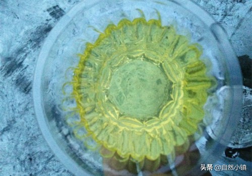 蓖麻油还是比较安全的,蓖麻毒素中国严禁种植吗