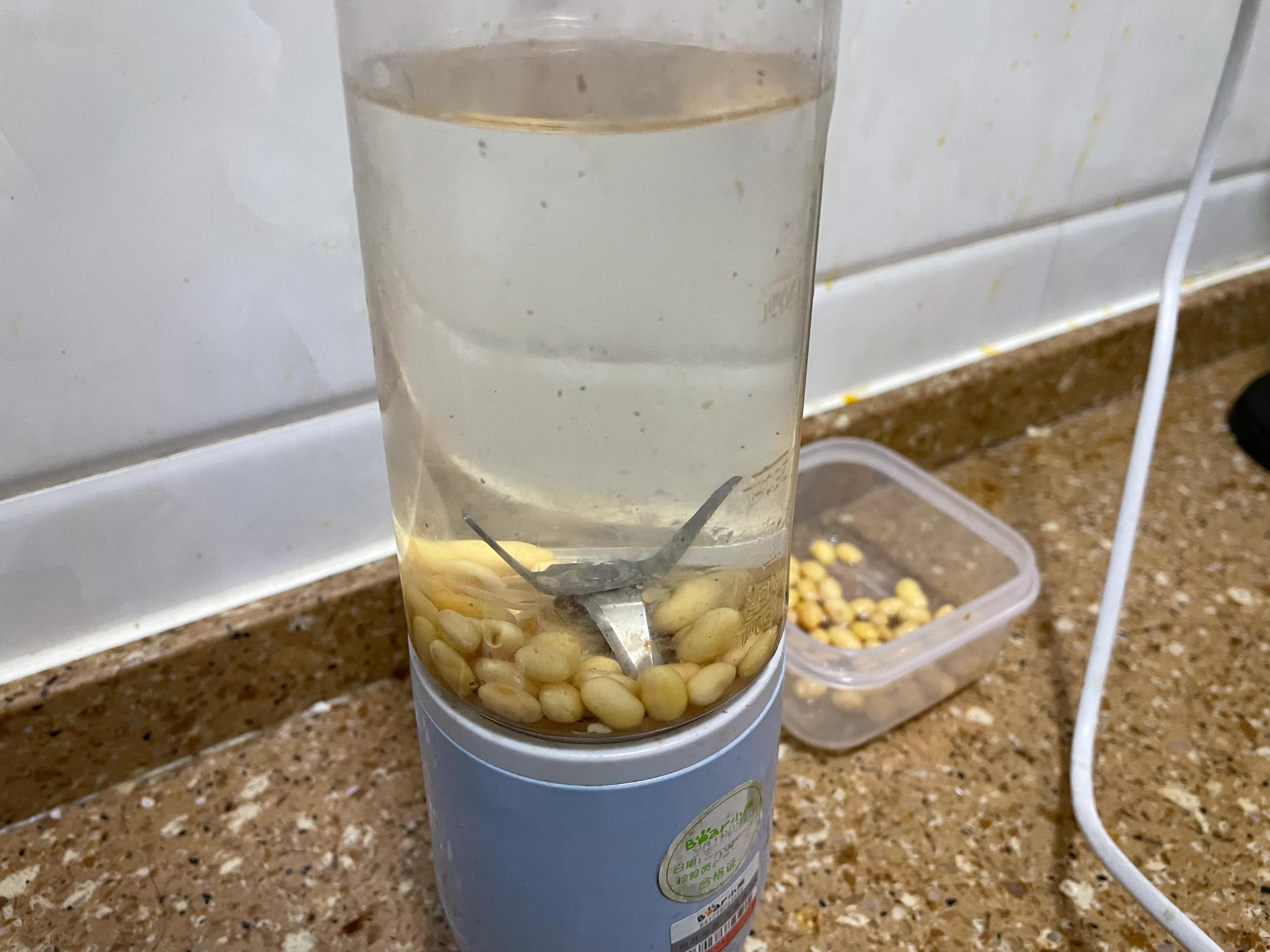 既能打果汁又能打豆浆的破壁机,五谷豆浆榨汁机大功率破壁机