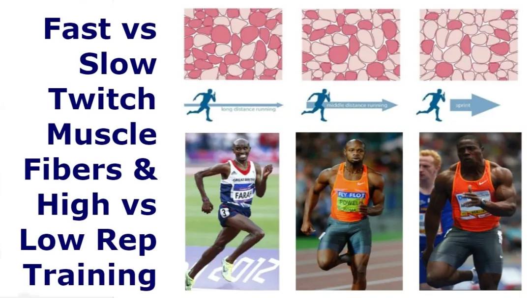 弹跳力属于身体素质吗,弹跳力靠的是腿的爆发力吗