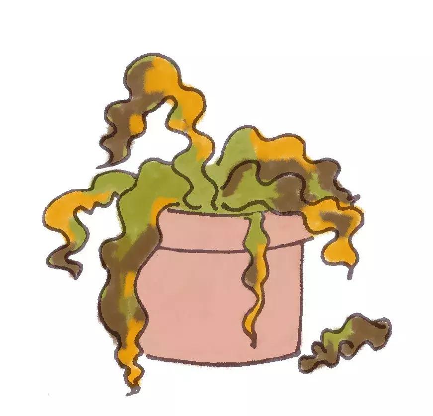 垃圾分类重难点,垃圾分类知识分享