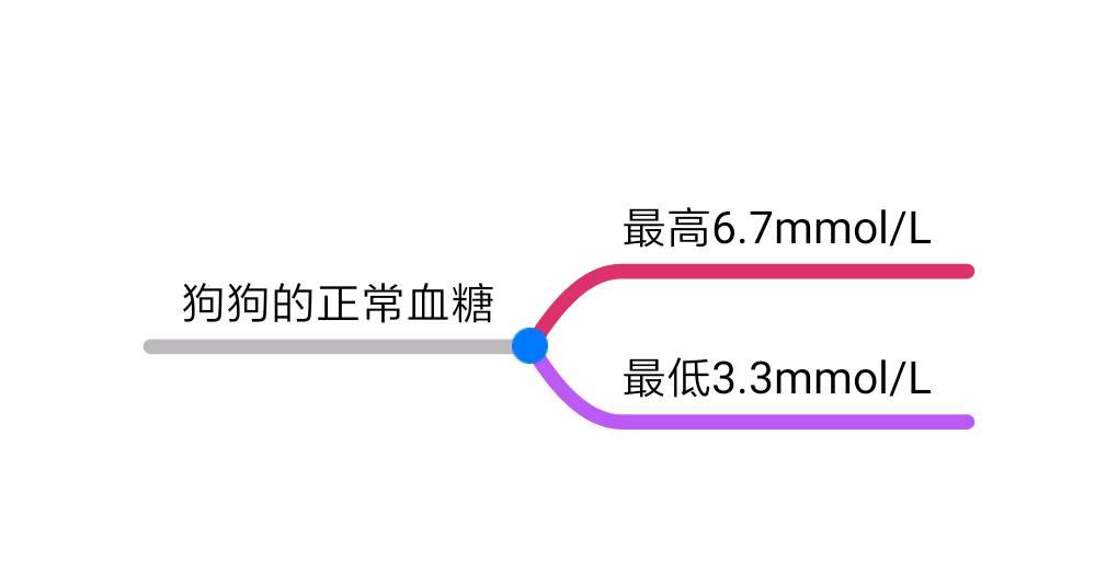 狗狗不良行为习惯,狗狗挑食厉害会低血糖吗