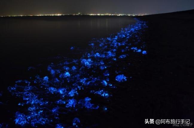 日本的世界遗产一览表,日本世界遗产共有多少项