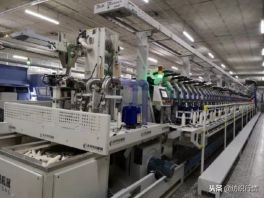 老方点评：一对年轻人的艰苦求索路