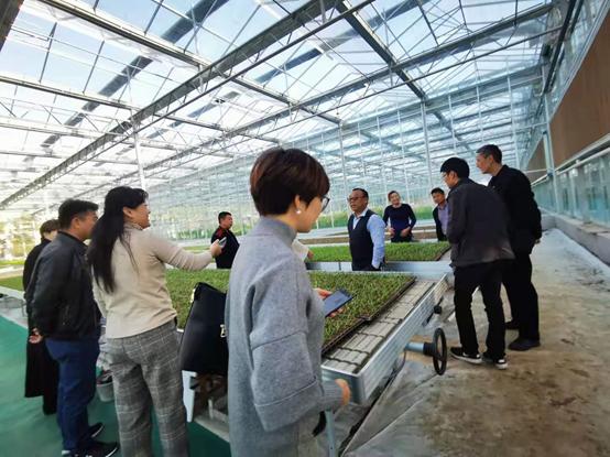 带你江西奉新看菜去，去了绝对不后悔