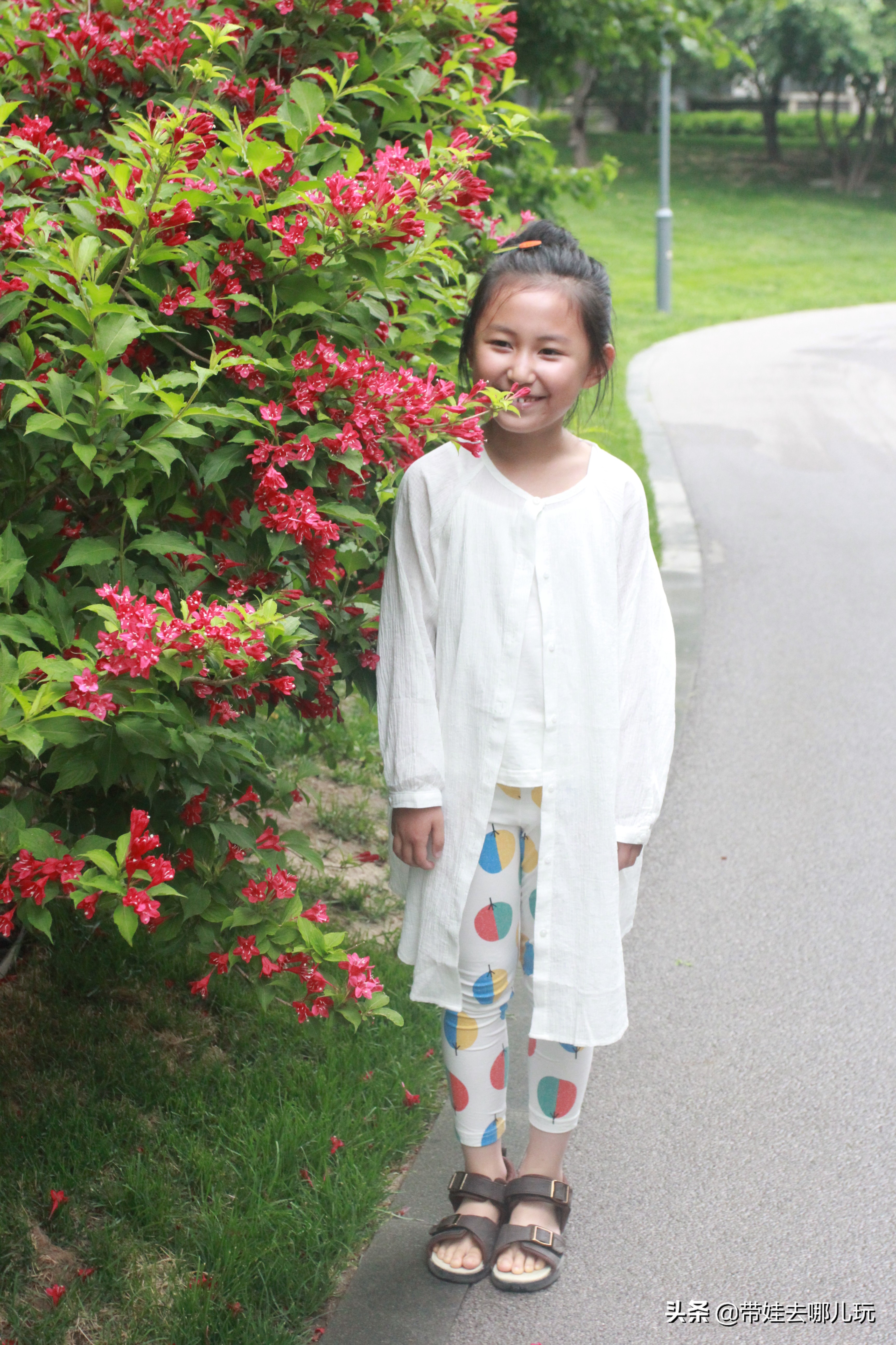 海德公园参观,北京的海德公园