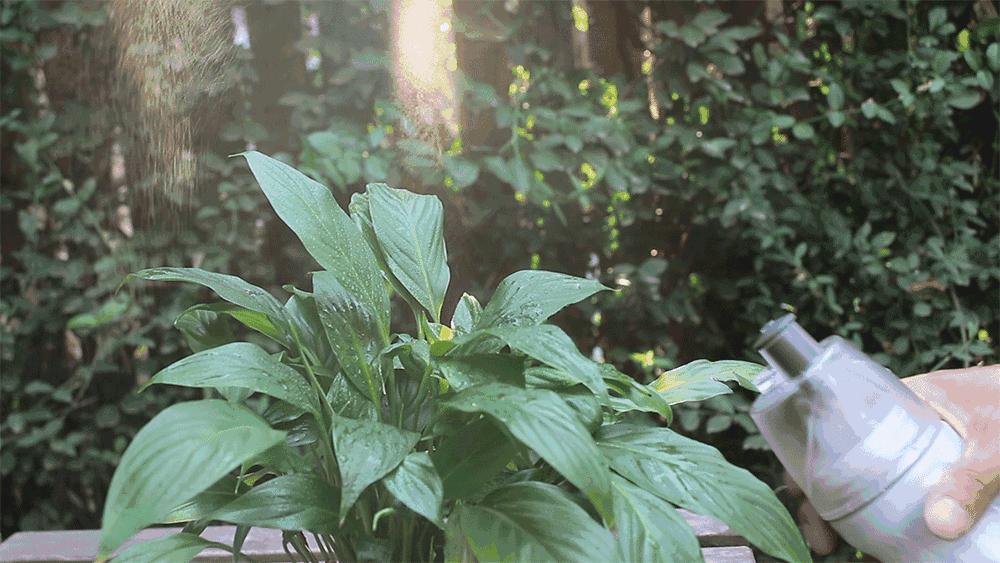 想撸猫但是猫害怕怎么办,想撸猫又怕脏怎么办