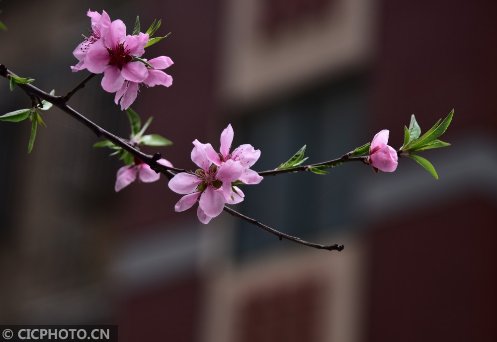 首个示范小区,全国示范小区现状