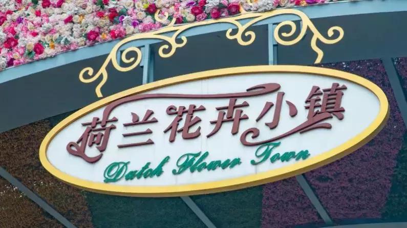 深圳最具特色的十个小镇,深圳深业特色小镇在哪里