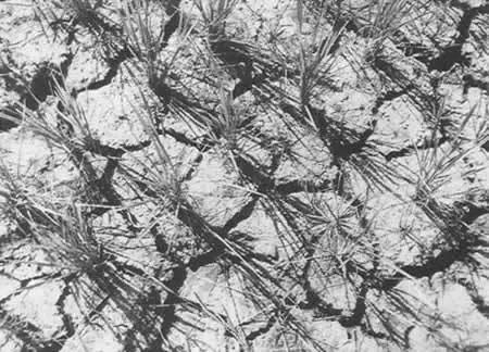 近20年的财富机遇,请分析未来还有哪些财富机会