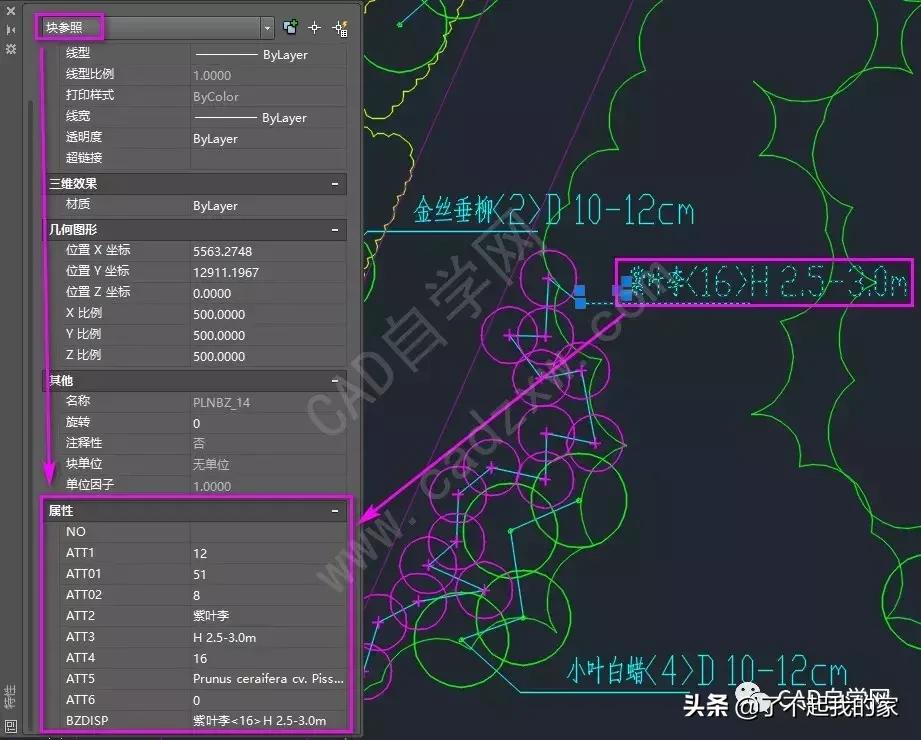 cad统计苗木数量,cad统计苗木数量快捷键