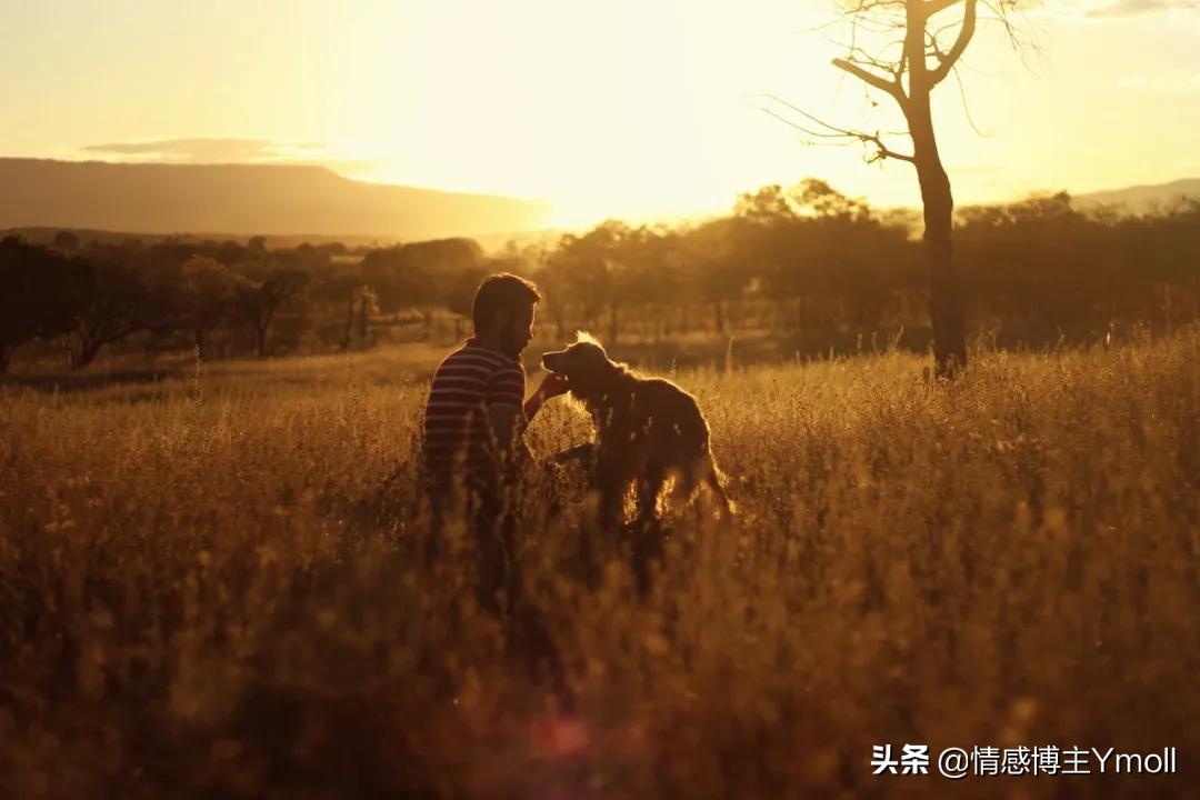 对象有亲密恐惧症,异性亲密恐惧症