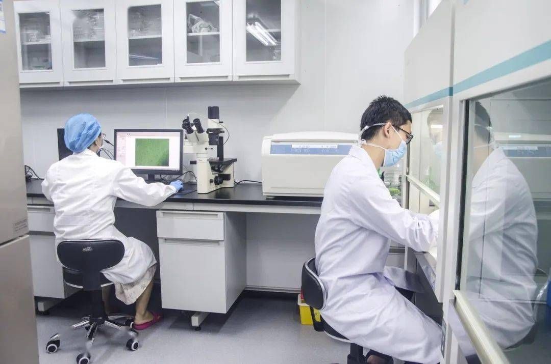 研究表明卵子具有选择性,科学家发现卵子对精子偏爱