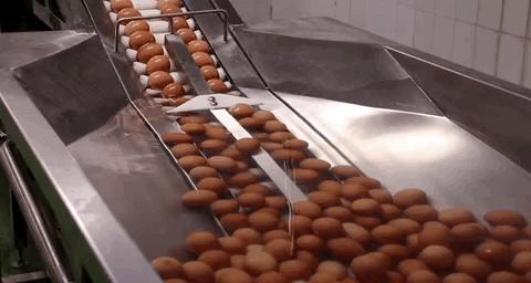 看旺旺的工厂，还以为来到了游乐园