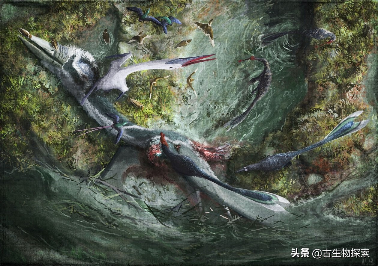 加拿大翼龙图片,加拿大发现恐龙化石