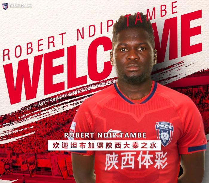 西北狼最新中甲消息,西北狼最新引援信息