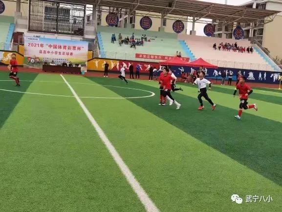 2023武宁县中小学生足球赛,中小学足球比赛喜报