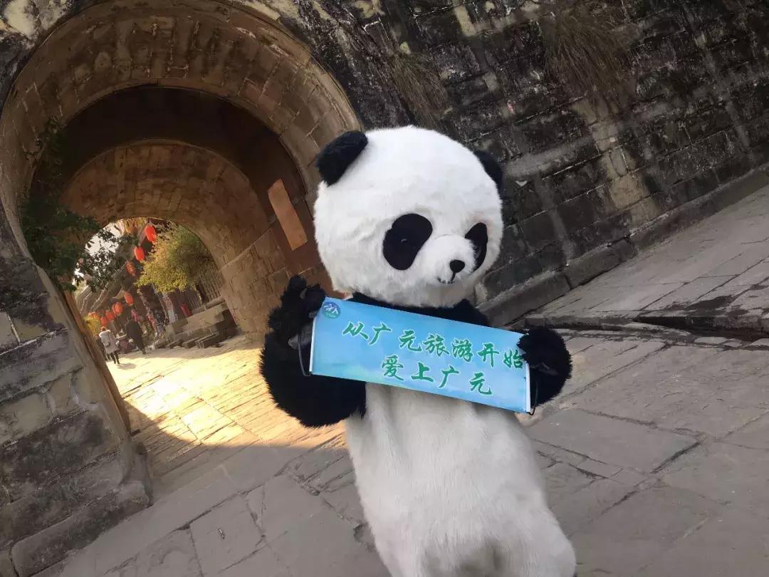 广元市市区好吃的,好吃的美食广元